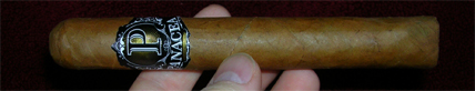 Panacea Connectcut - 3
